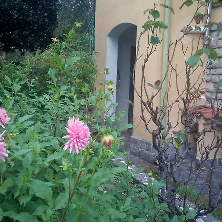 Casa Adele